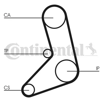 Timing Belt